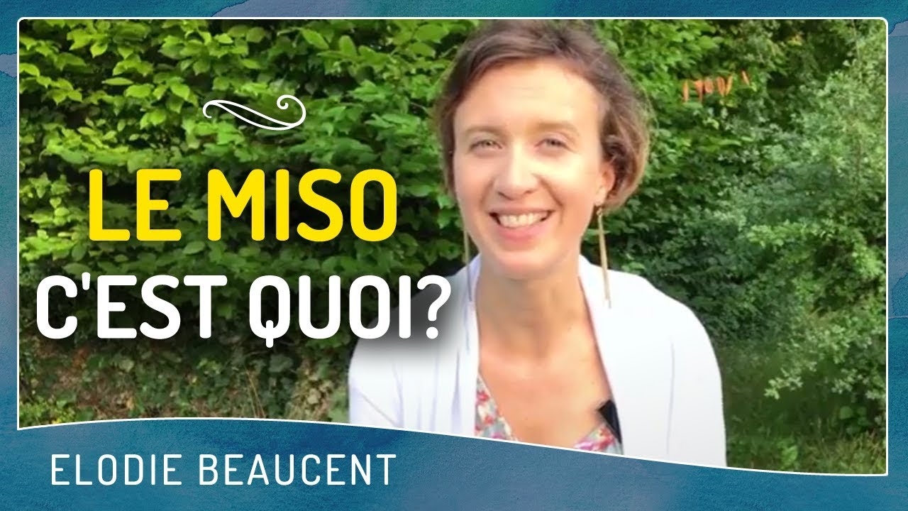 Le miso, c'est quoi ?