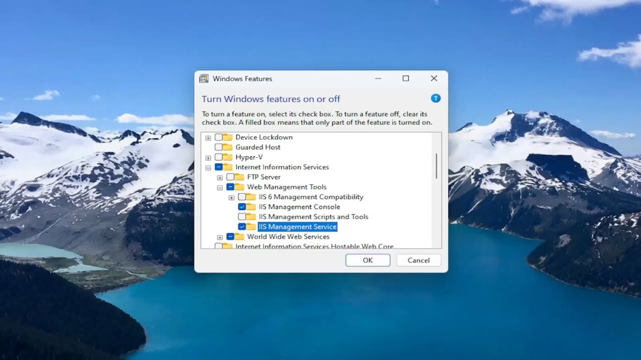 Fix Unsupported Video Type or Invalid File Path Error in Windows 11/10 [Guide]
