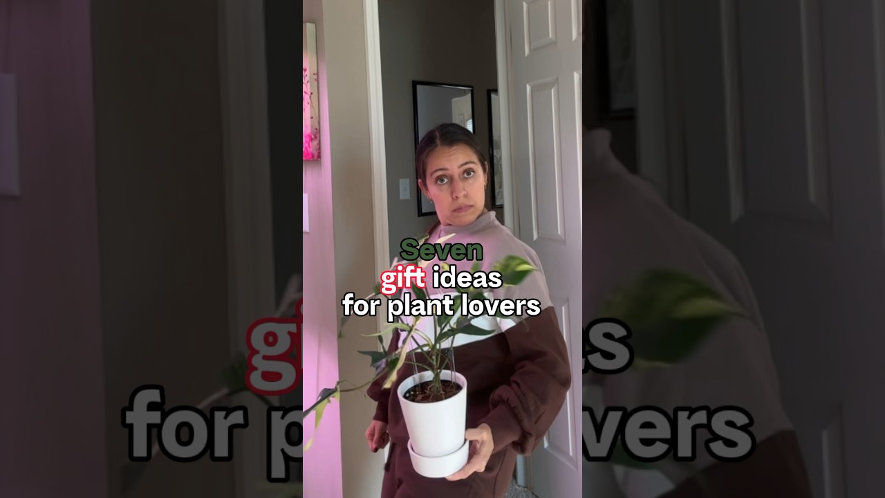 7 gifts for plany lovers I&rsquo;d recommend! #plantcare #plantlovers