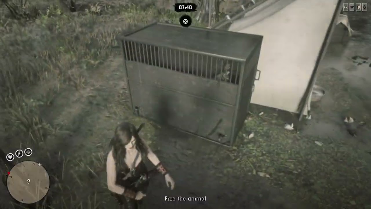 Red Dead Redemption 2 Mia Queen collector Role and Hideouts