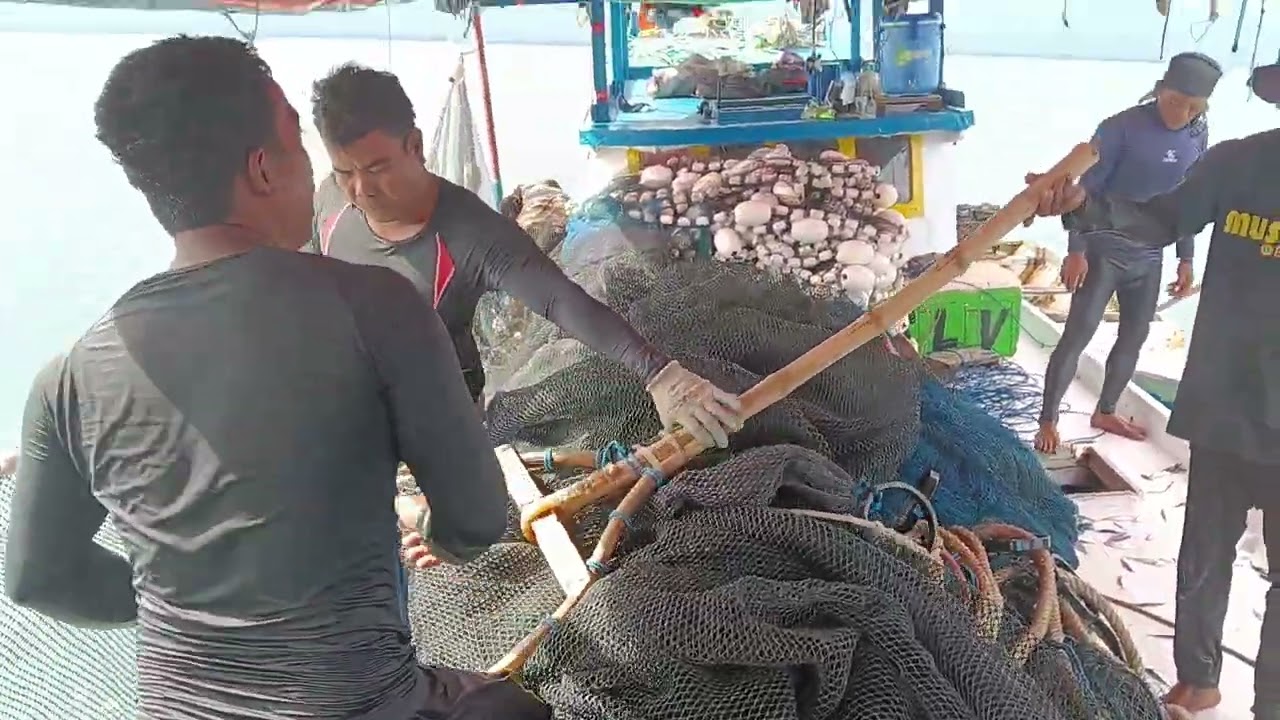 Kapal nelayan balo-balo Wotu Luwu timur #mancing #nelayan #ikan #kapal #laut #rumahapung #fishing 