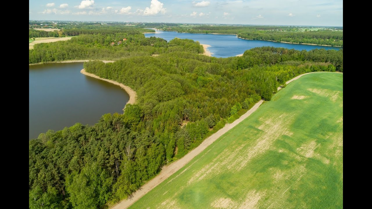 Działka z lasem w Lubochni (gm. Gniezno) przy jeziorze Modrze