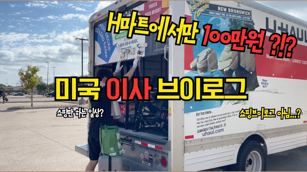 미국일상🇺🇸ㅣ미국에서 이사하기ㅣ이케아 쇼핑ㅣH마트 쇼핑ㅣ 쇼핑하다 하루 다 가는 일상