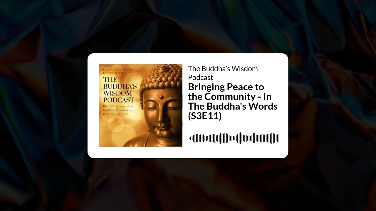 Bringing Peace to the Community - In The Buddha's Words (S3E11) | The Buddha’s Wisdom Podcast