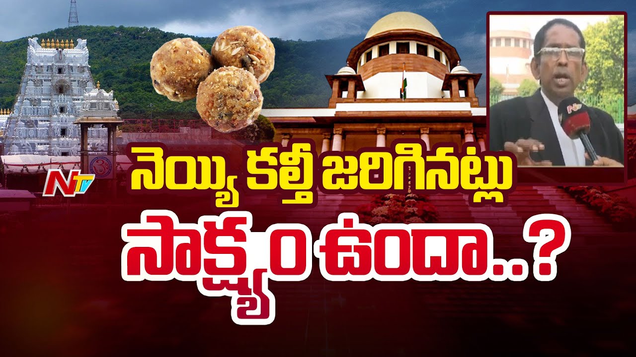 Supreme Court Lawyer Face To Face On Supreme Court Orders On Tirupati Laddu Controversy | Ntv