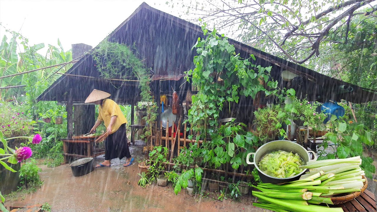 Heavy rain village, Cooking a Fresh Organic Breakfast | Countryside Life