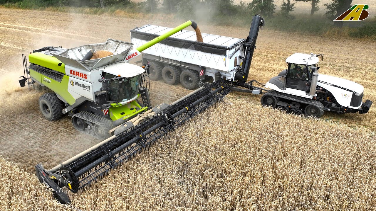 Getreideernte 2023 Triticale dreschen Mähdrescher CLAAS Traktor Raupe Lohnunternehmer Landwirtschaft