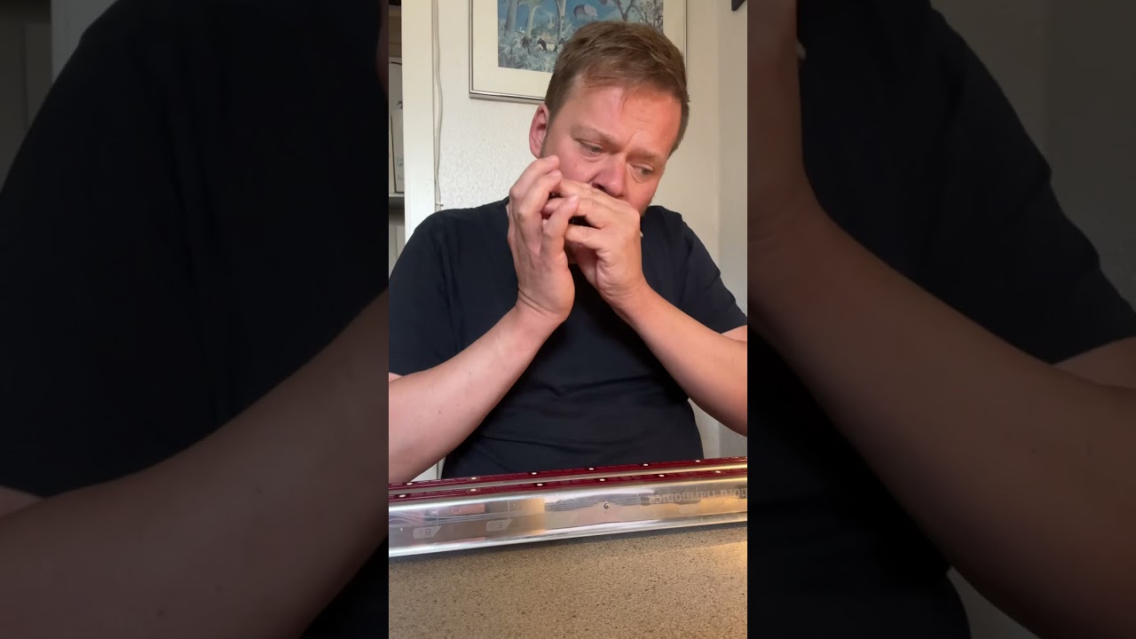 All of me - for Suzuki chromatic and chord harmonica (27-08-2022)