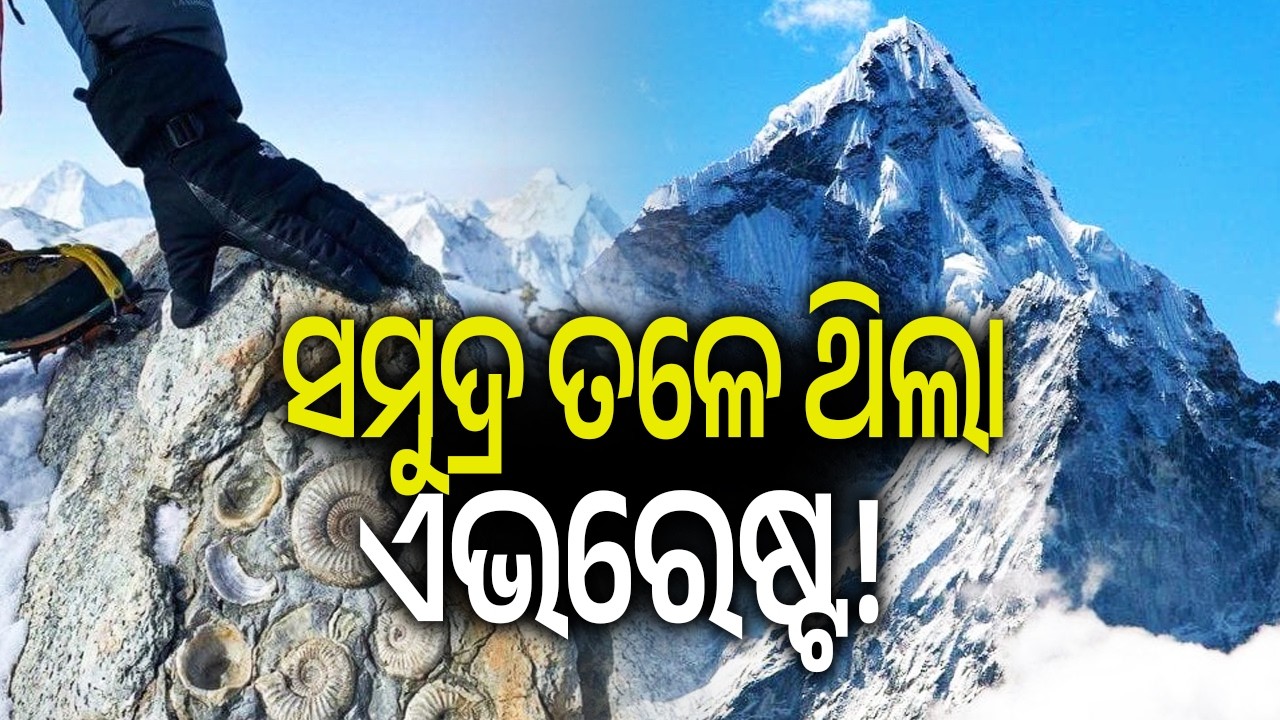 ଏଭରେଷ୍ଟ ଶିଖରରେ ସମୁଦ୍ରର ଚିହ୍ନ: ଜାଣନ୍ତୁ ଦୁନିଆର ସବୁଠୁ ଉଚ୍ଚ ପାହାଡ଼ କେମିତି କେବେ ସମୁଦ୍ର ତଳେ ଥିଲା !