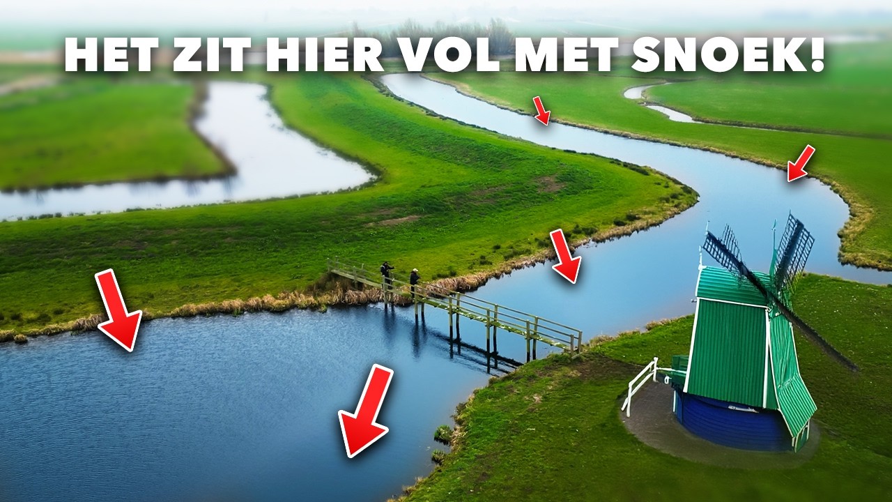 EXTREEM veel GROTE SNOEK in deze KLEINE POLDER!