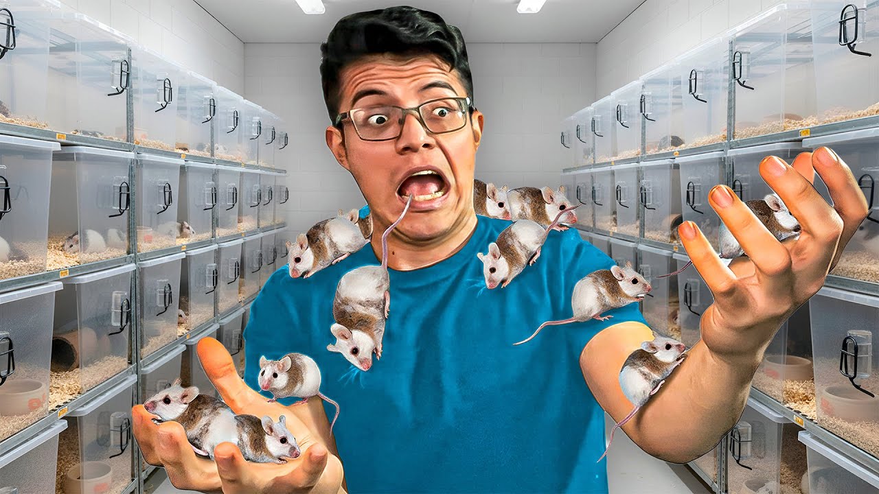 ¡Criadero con 1,500 Ratas Africanas! 🐭💥 Te enseñamos cómo se reproducen