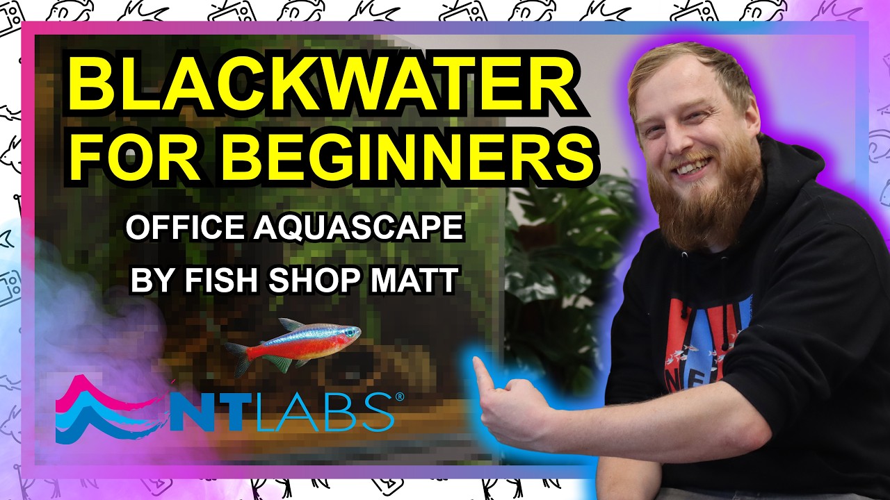Blackwater Banter & a New Aquascape – BTS with @FishShopMatt