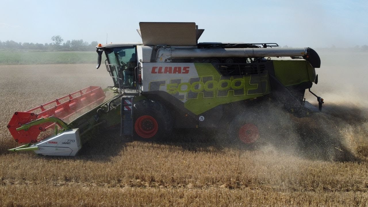 TESTOWANIE! ŻNIWA 2024!/ CLAAS TRION 660 W AKCJI!/ AGRIMASZ FISZEWO 1 82-335 GRONOWO ELBLĄSKIE !