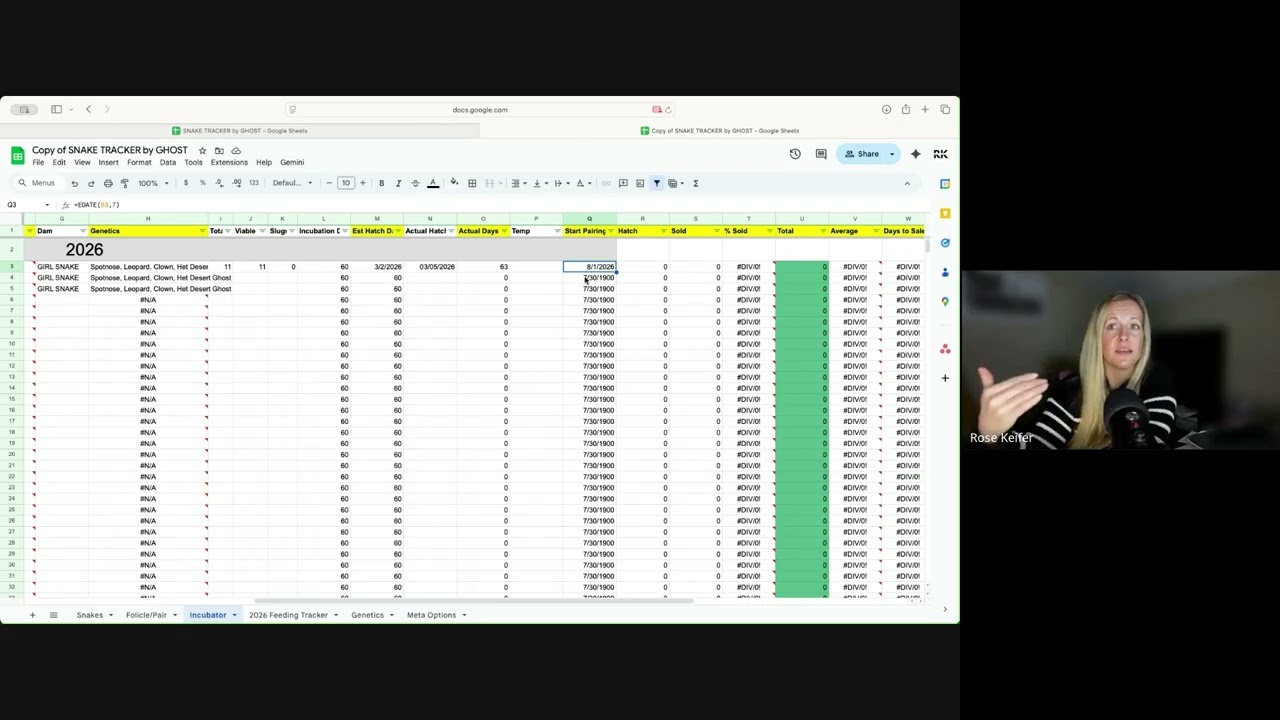 How to track your ball python collection for FREE