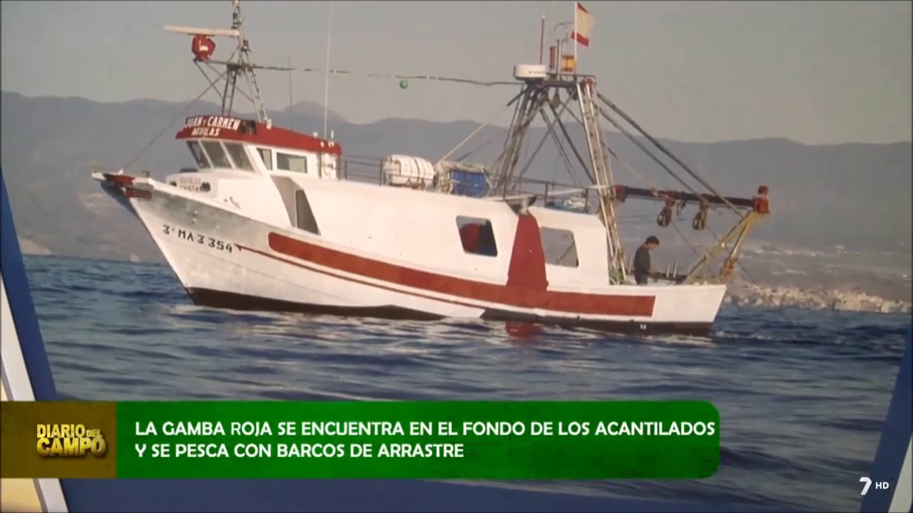 Visita a la lonja de Águilas