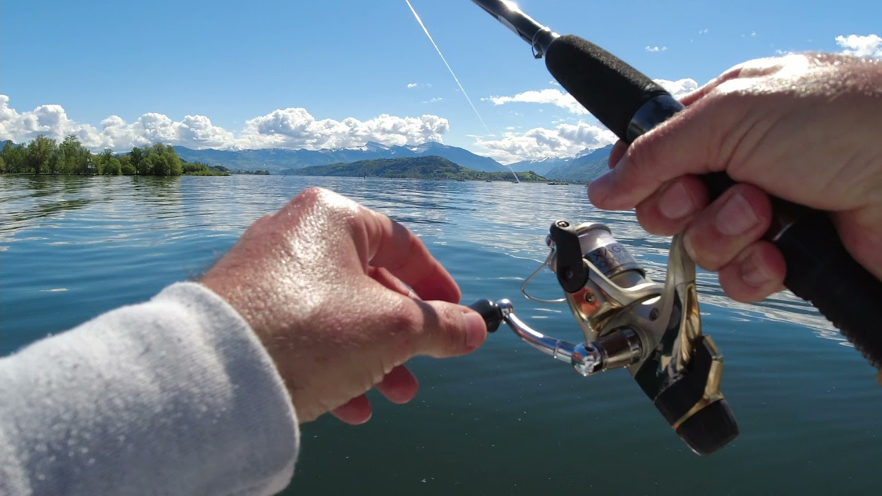 Felchenfischen Zürichsee
