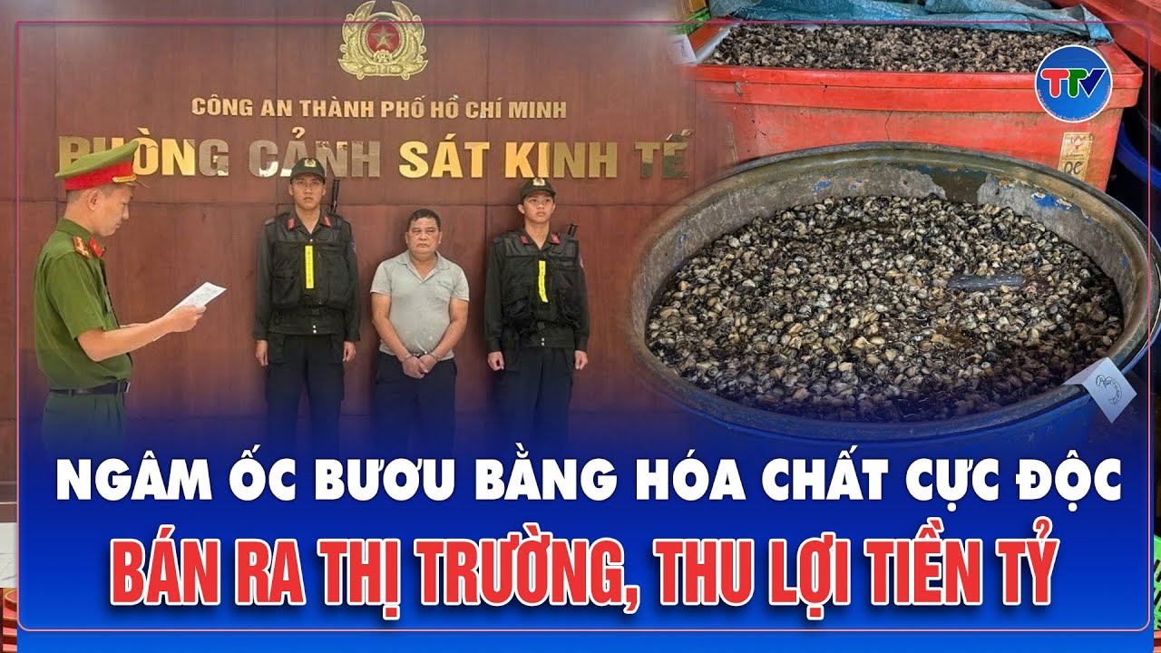 Ngâm ốc bươu bằng hóa chất dùng trong xây dựng rồi bán ra thị trường, thu lợi tiền tỷ