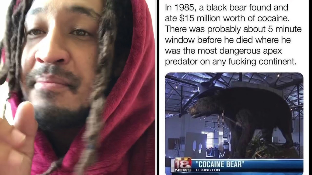 Wild Story: THE COKE BEAR 🐻 😱