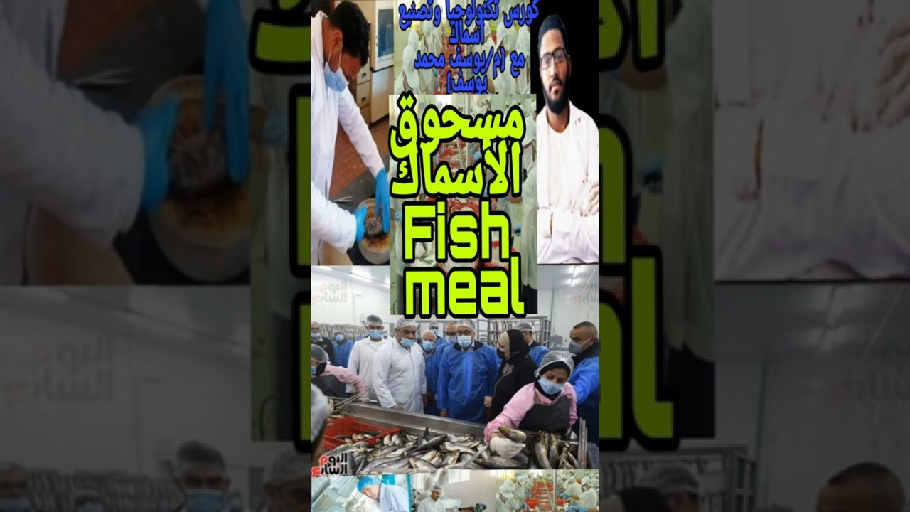 كورس تكنولوجيا وتصنيع اسماك مسحوق الأسماك Fish meal