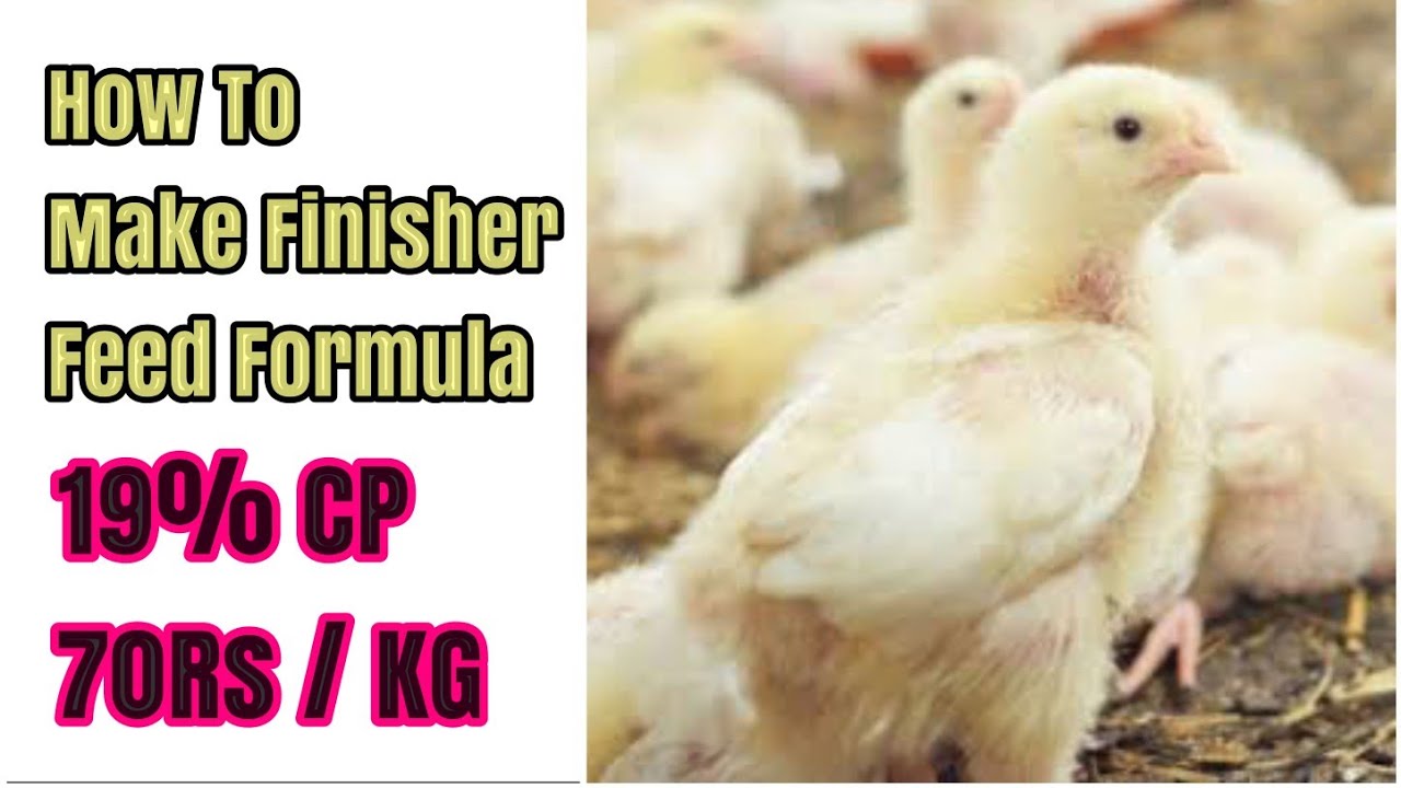 How To Make Broiler Finisher Feed || Feed Formulation || 19% Protien || #feedformulation