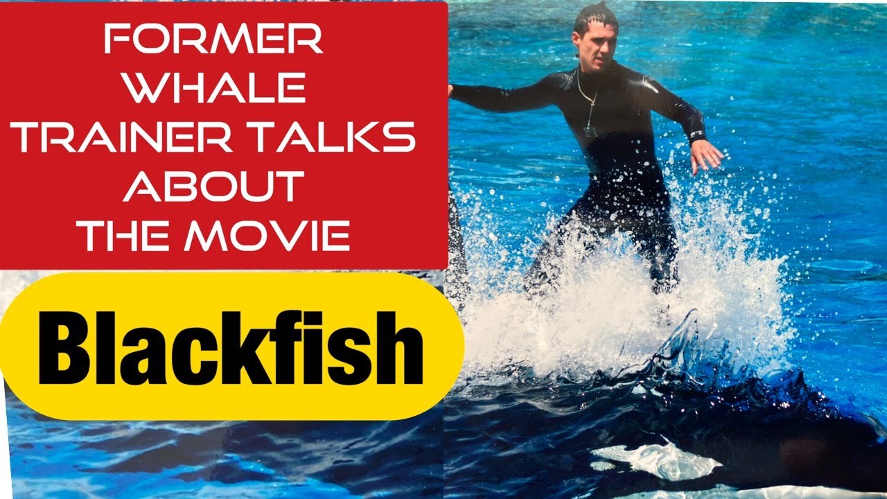 I tell you my thoughts on Dawn and the movie Blackfish