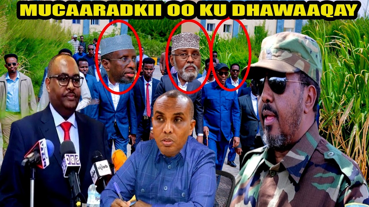 DEG DEG Mucaradka oo maanta War Weyn ku dhawaqaya & Xasan sh oo Faragiliyay, Qoor Qoor Lafta oo…