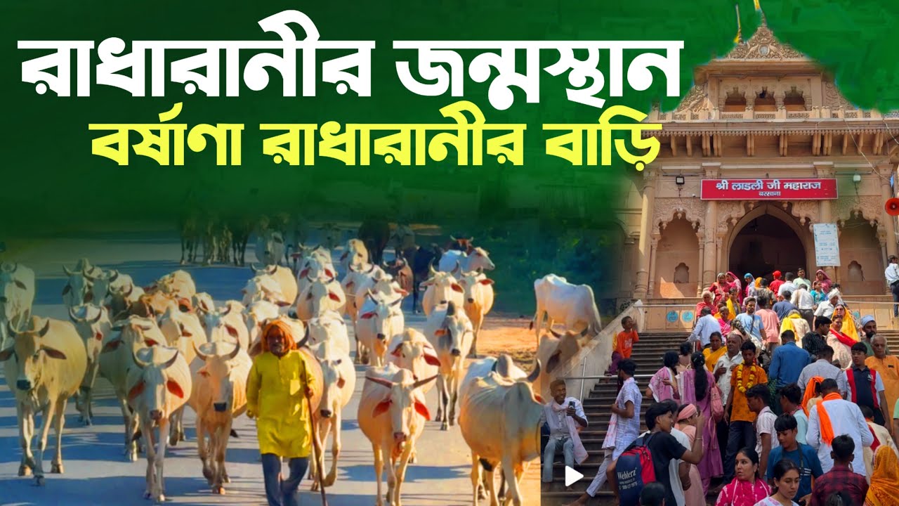 বর্ষাণা রাধারানীর বাড়ি সহ সকল কিছু এই ভিডিওতে - Barshana Radha Rani Temple Darshan Vrindavan