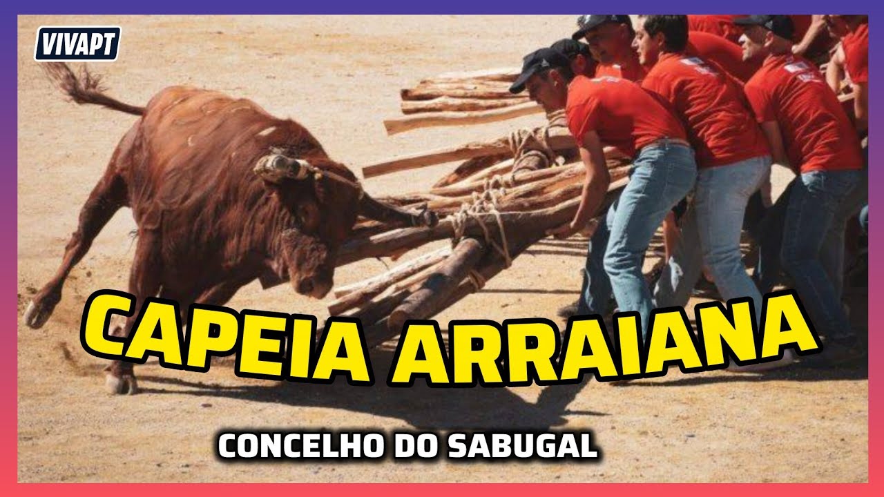 CAPEIA ARRAIANA - TRADIÇÃO ÚNICA NO MUNDO COM TOURO BRAVO E FORCÃO! ✨🇵🇹