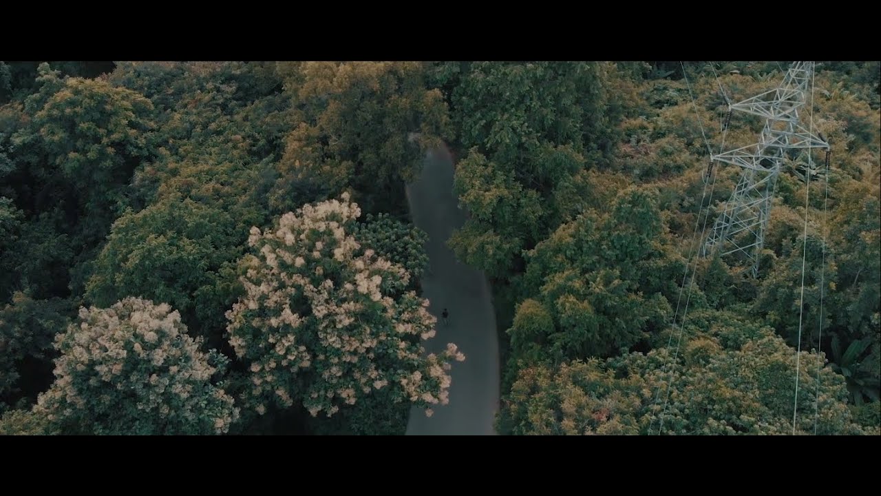 Shashwat Bulusu - Sunset by the Vembanad (Official Music Video)
