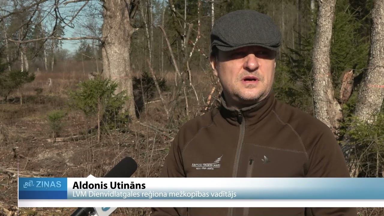 ReTV: Latvijā uzsākti meža stādīšanas darbi