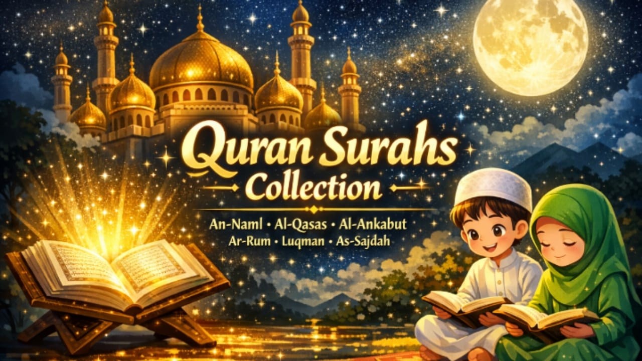 Saz videos #live  #quran #surahannaml #alqasas #alankabut #arrumem #luqman #assajdah  9032180694