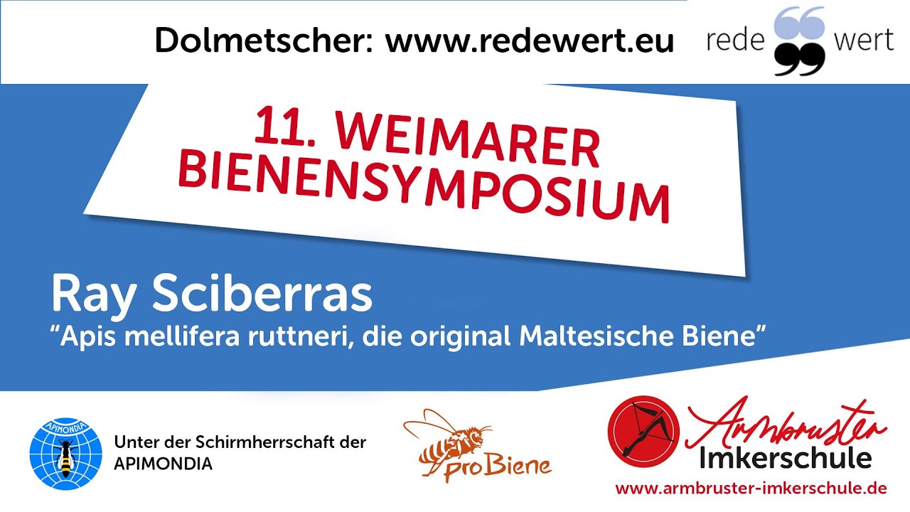 Ray Sciberras: „Apis mellifera ruttneri, die original Maltesische Biene“