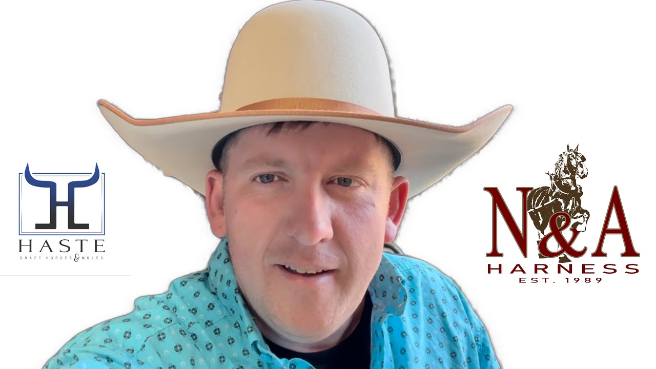 "N&A Draft Horse & Mule Harness: Get Yours Now with Free Shipping!"