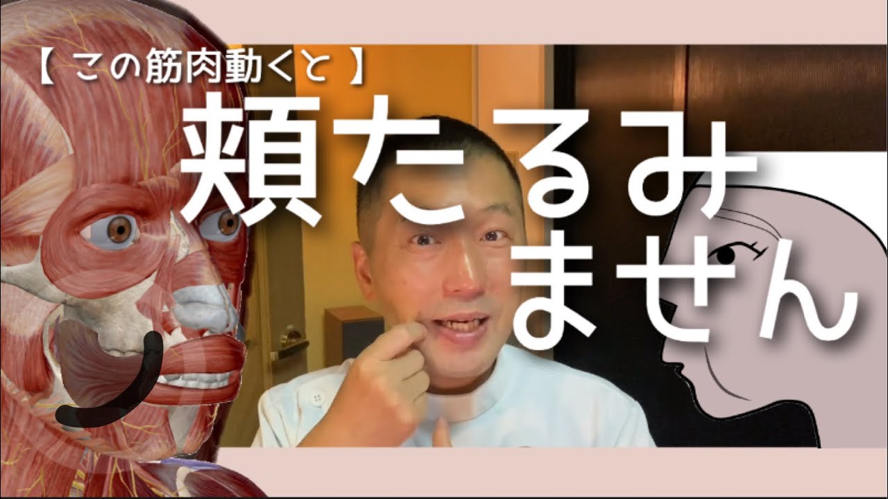 【 頬の弛み 】この筋肉動くとほうれい線外側は弛みません