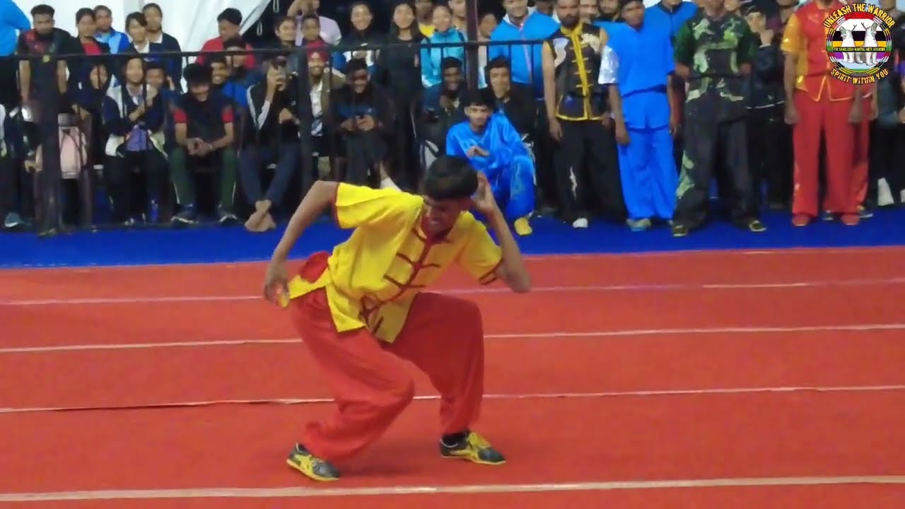 Wushu Taolu Monkey 🐒 Style showcase