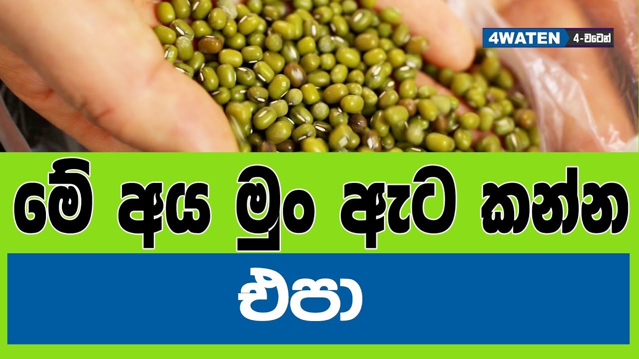මුං ඇට කන අයට ලැබෙන දේවල් මෙන්න Mung Beans Benefits (2019)