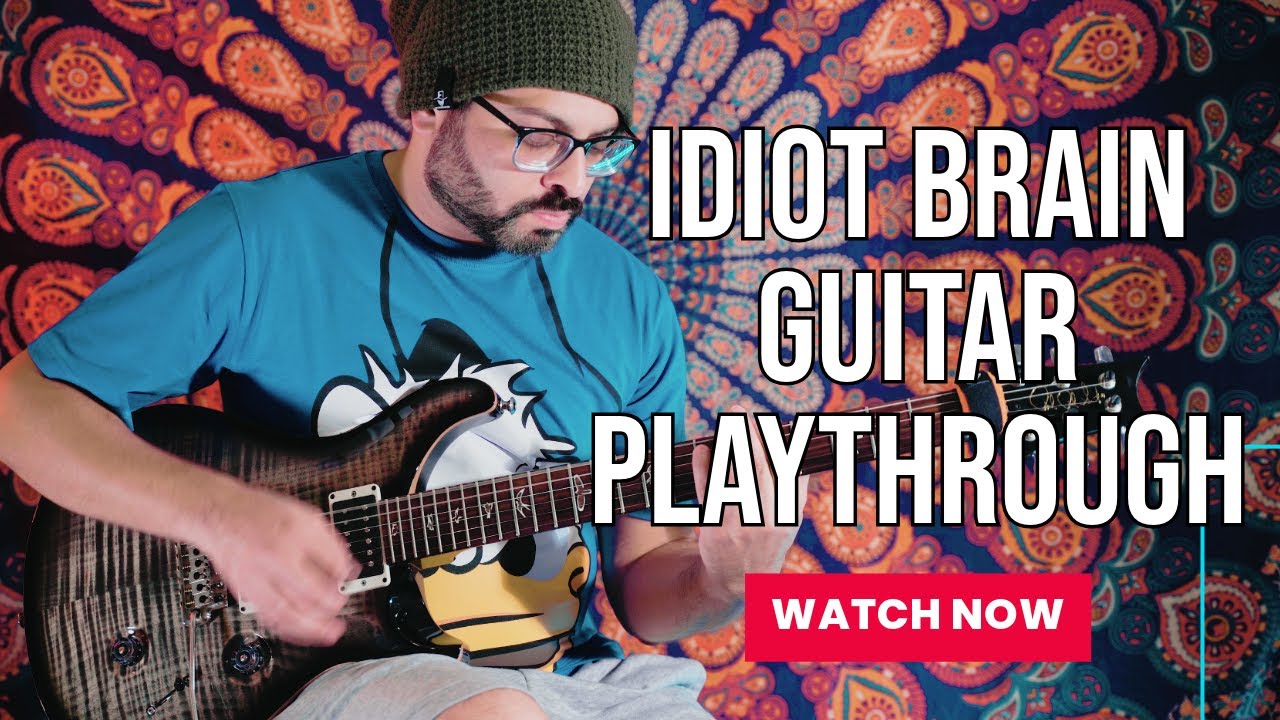Zee Baig | Idiot Brain | Guitar Playthrough | Fire Garden