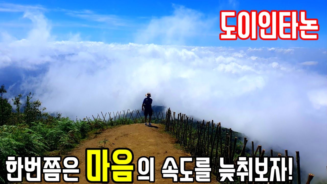 [🇹🇭 치앙마이 한달살기-5편 ] 태국의 지붕 높이 2,565m의 도이인타논 트레킹과 주변 가볼만한곳 소개! 깨우매판 트레킹/장수기념탑/몽족 시장/카렌족 마을/와치라탄 폭포