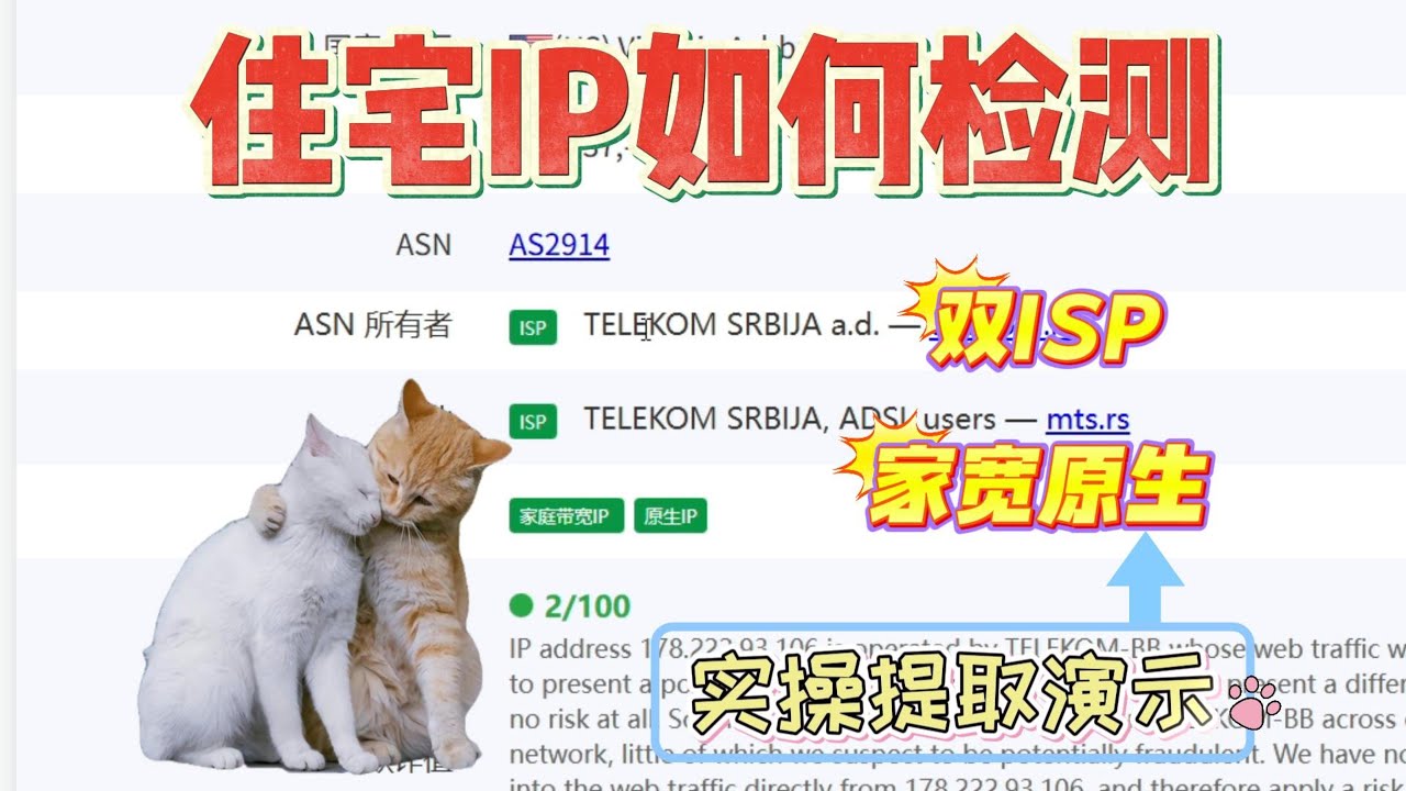 拿到原生住宅不知道该如何检测？今天分享我自用的两个工具！