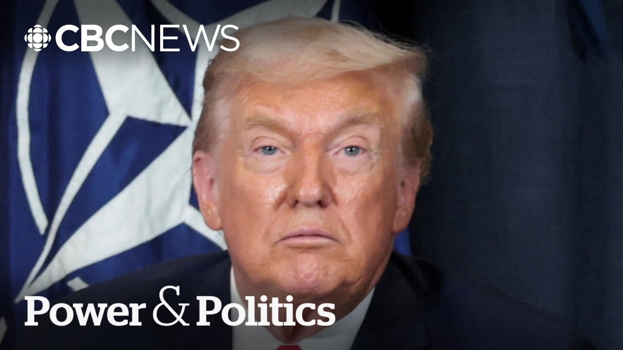 Fmr. UN ambassador calls Trump relations 'nuts' after jab at Canada in Davos | Power & Politics