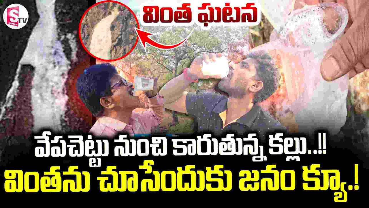 వేప చెట్టు నుంచి కల్లు క్యూ కడుతున్న జనం? | Toddy Water From Neem Tree | Viral Video Kakinada