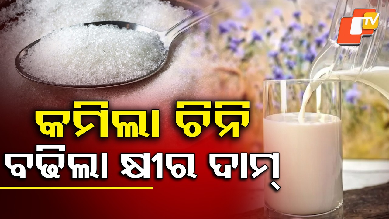 ଚିନି ଦର କମୁକମୁ ବଢିଗଲା କ୍ଷୀର ଦାମ୍ ...  Sugar Prices Fall, But Milk Gets Costlier! #otvdigital