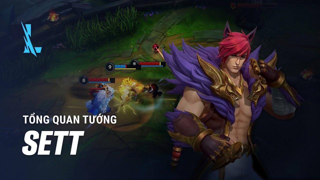 SETT ĐẠI CA | TỔNG QUAN TƯỚNG