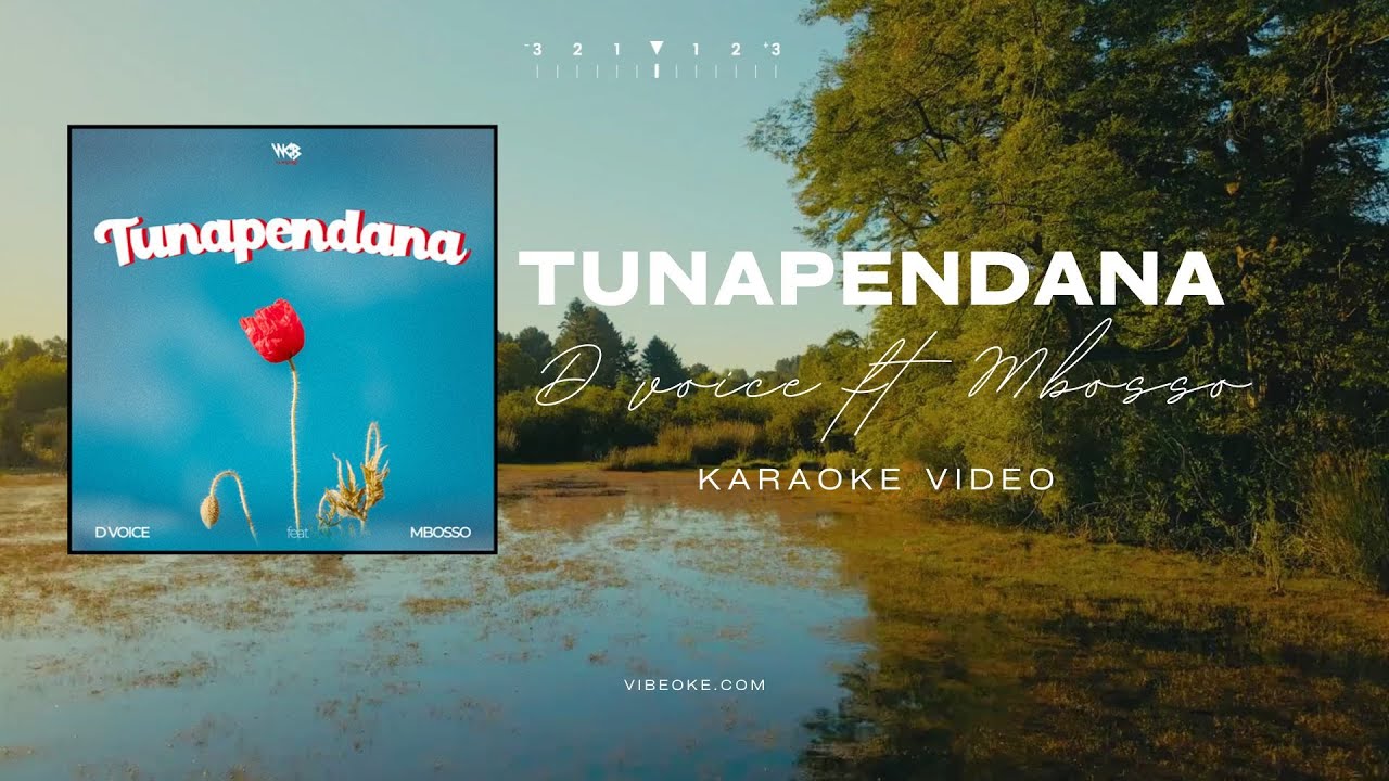 D voice ft mbosso - tunapendana karaoke (Instrumental)