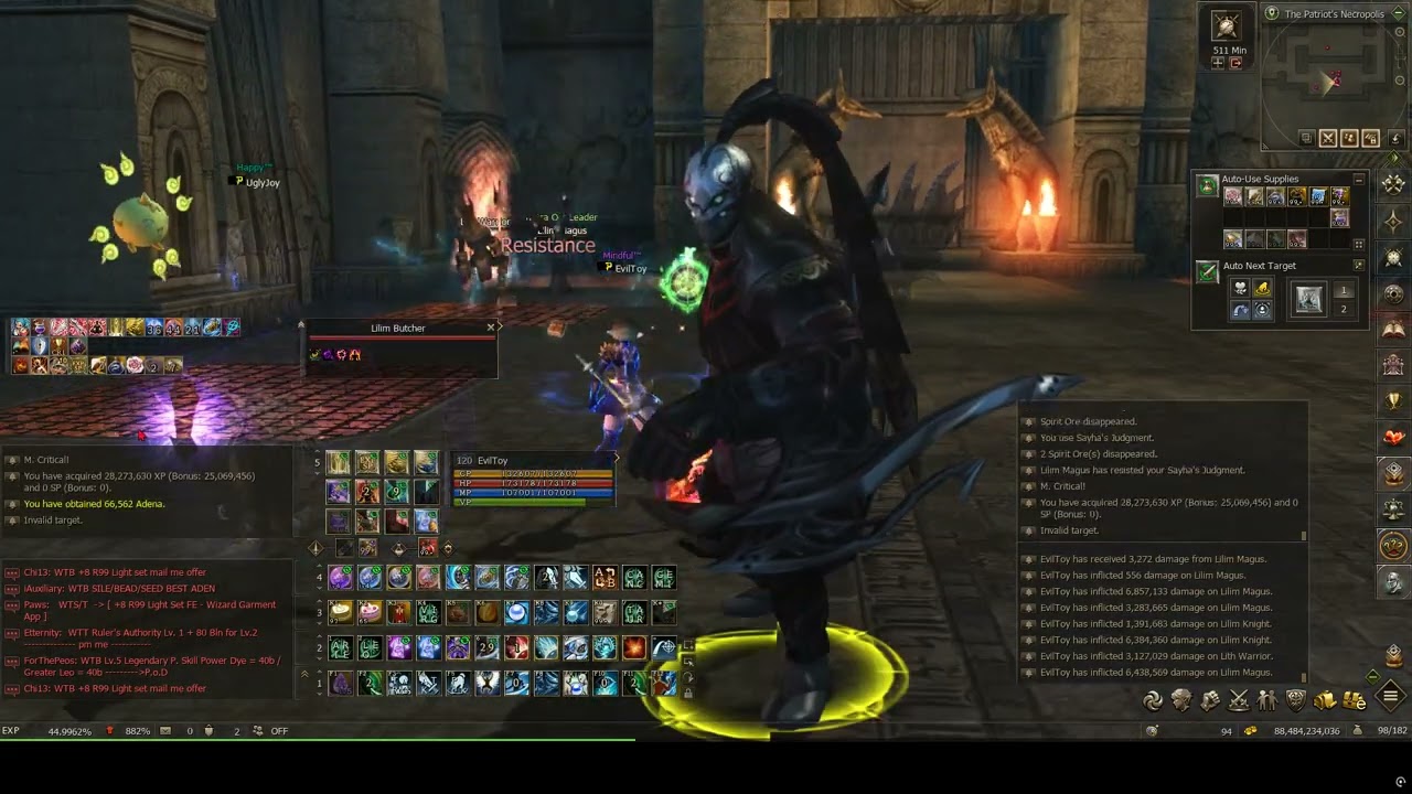 Lineage II Official Naia Server: Sayha's Seer Macros