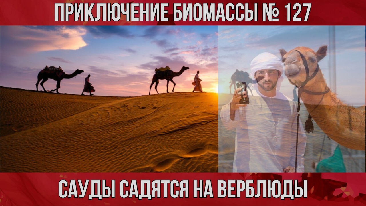 Приключение биомассы №127. Сауды садятся на верблюды