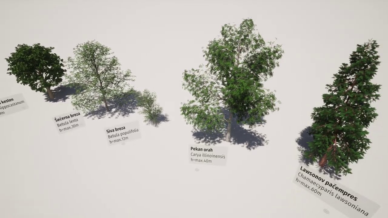 TREE SIZE COMPARISON (45+ trees)