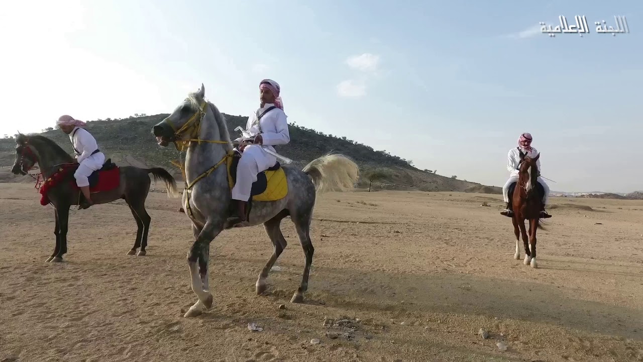 التعشير و استعراض الخيول لشباب قبيلة آل حسن - 1438