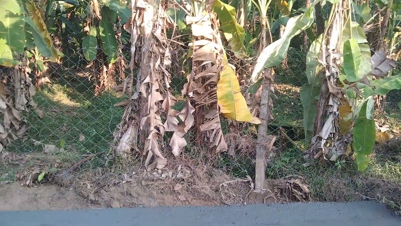 8.75 cent land for sale At Aluva Nedubhasheri airport 3km per cent 3 laks.