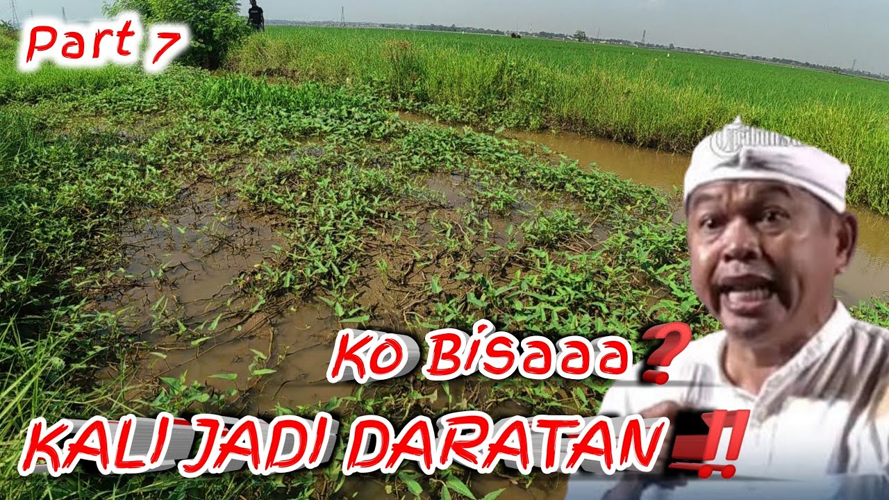 Part 7❗KALI CISALAK❗MAKIN KE HULU MAKIN PARAH PANTAS PETANI TERIAK KURANG AIR #KDM